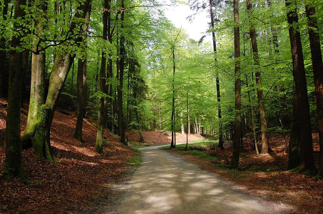 Kamnik, Slovenia